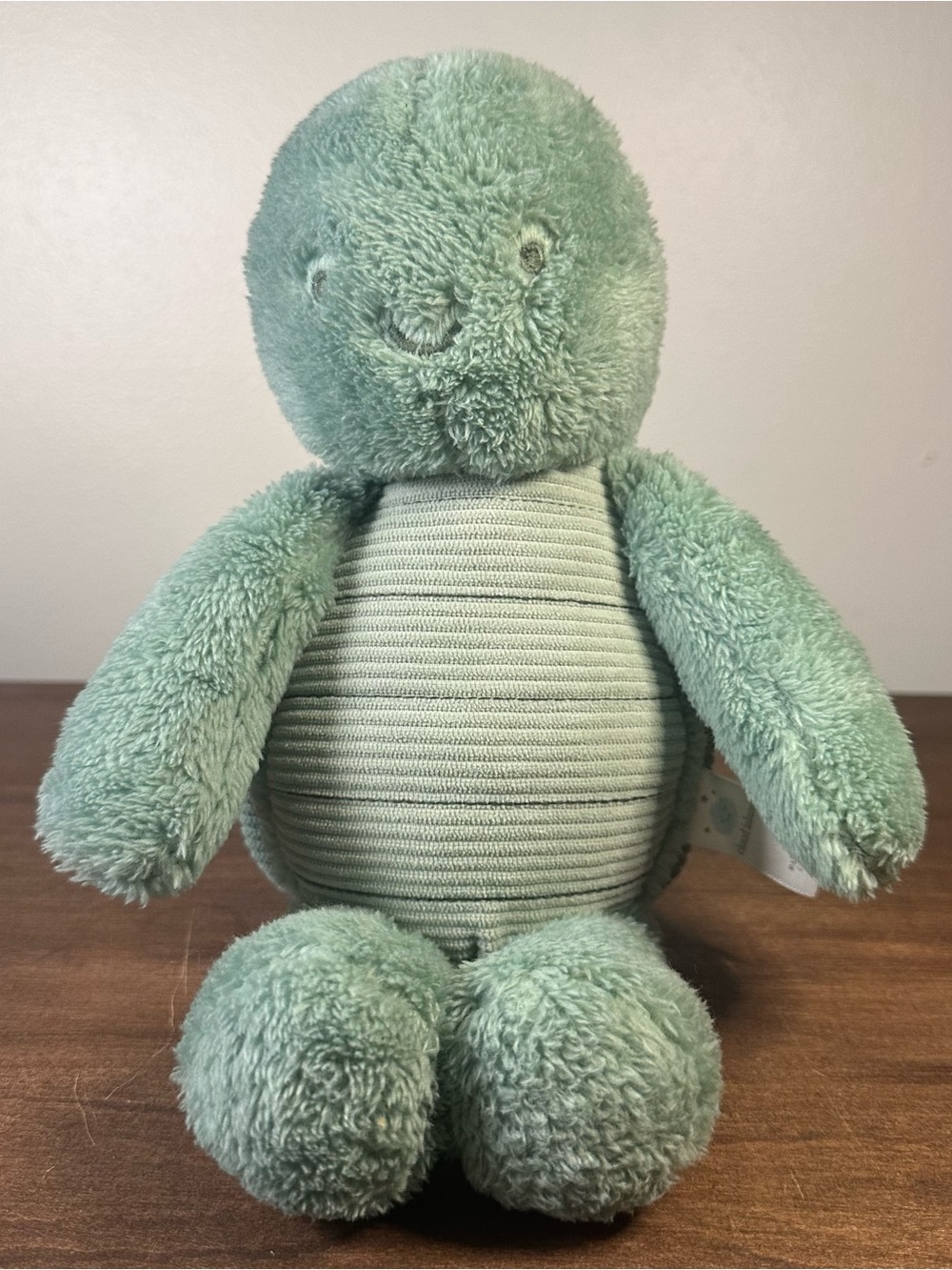Cloud Island Green Plush Turtle Textured Lovey Sensory Stuffed Animal 12"